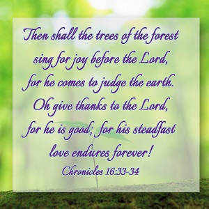 Scripture graphic 1 Chronicles 16:33-34 