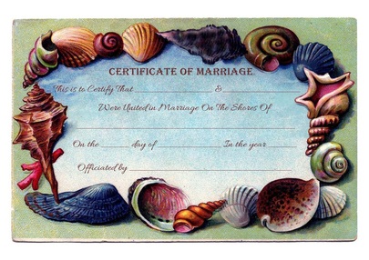 Vintage Seashells Motif Marriage Certificate