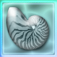Free seashell graphic