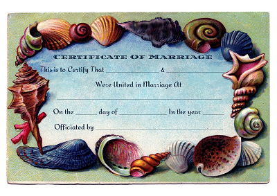 Seashell themed marriage certificate